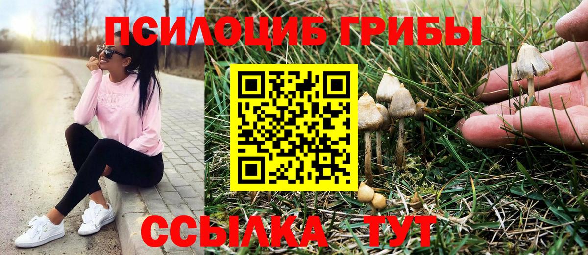 Псилоцибиновые грибы ЛСД Зеленодольск