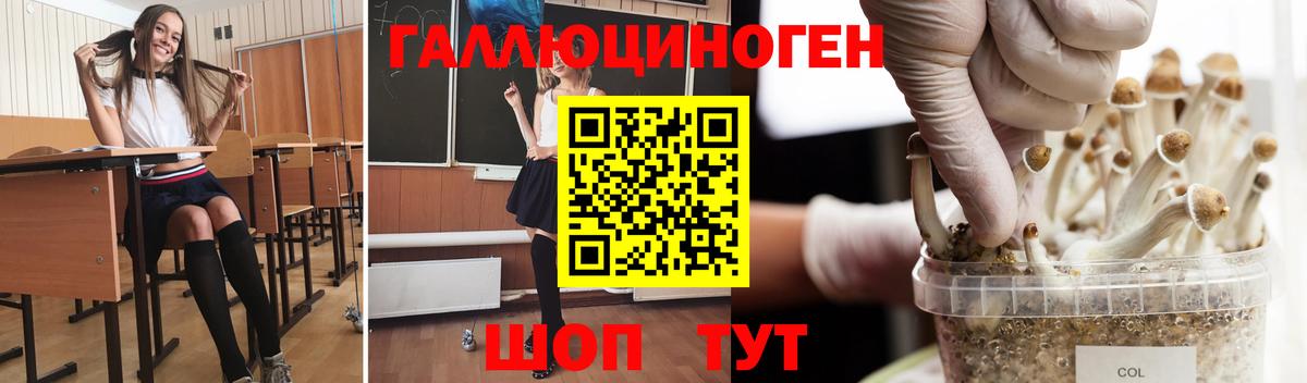 Псилоцибиновые грибы мухоморы  Вход с VPN  наркошоп  Зеленодольск 